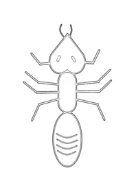 mrówka kolorowanka