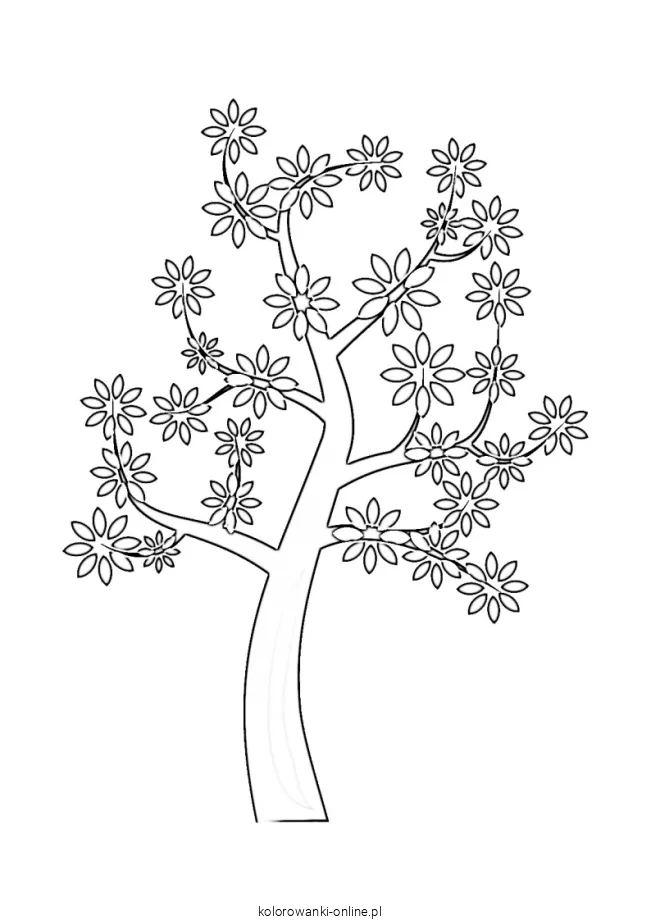 drzewo liściaste kolorowanka