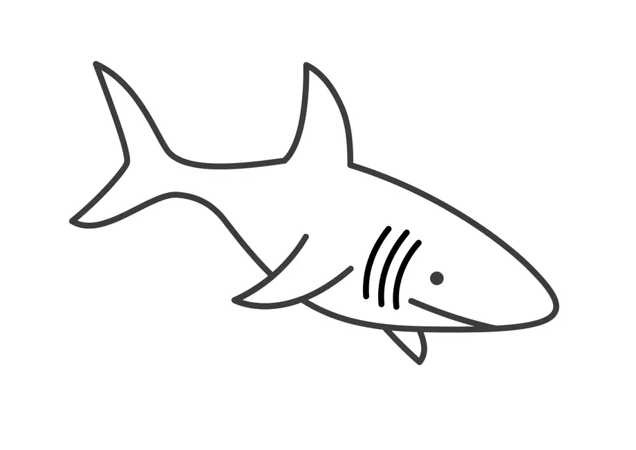 rekin kolorowanka
