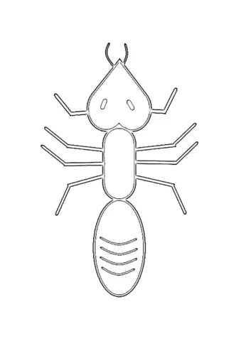 mrówka kolorowanka