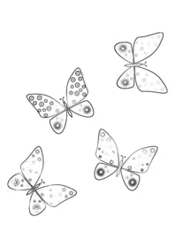 motyle kolorowanka
