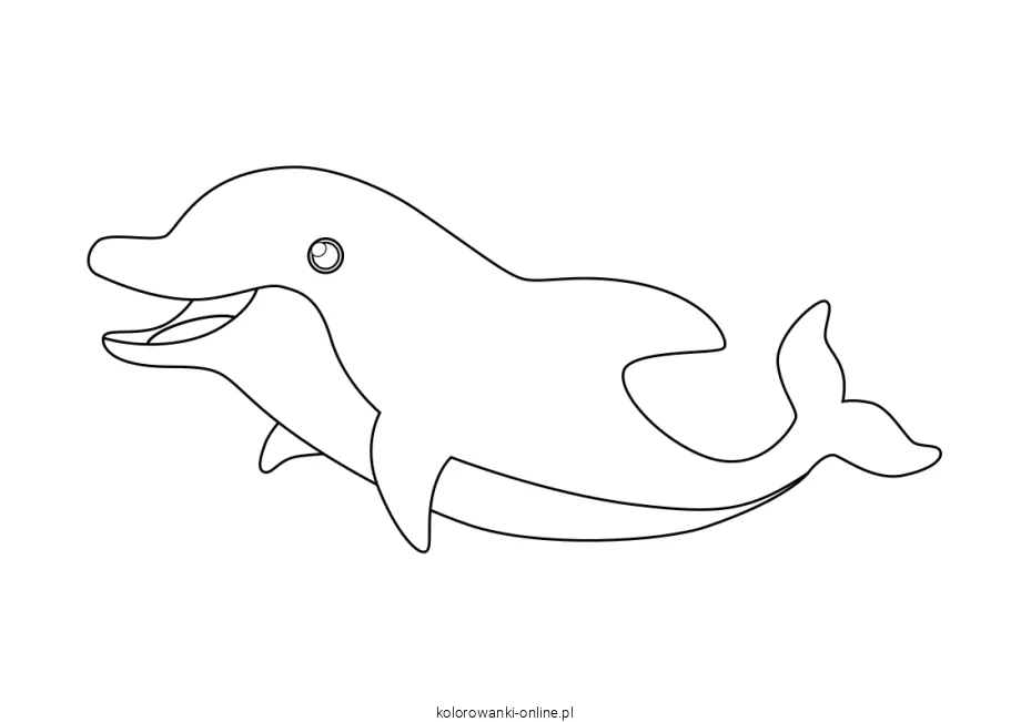 delfin kolorowanka