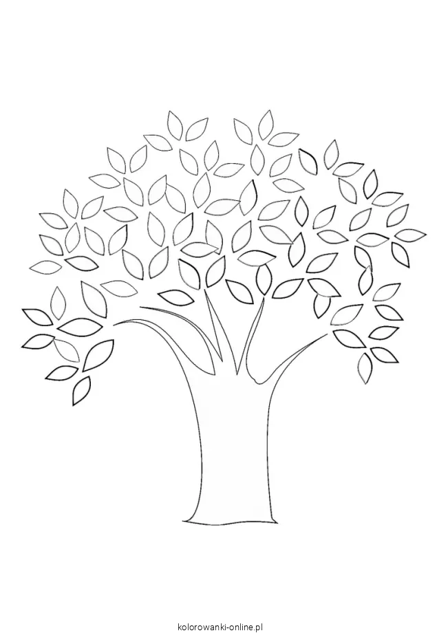 kolorowanka drzewo