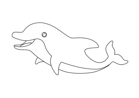 delfin kolorowanka