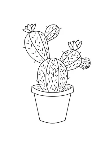 kaktus kolorowanka