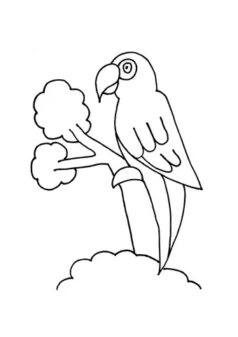 kolorowanka papuga