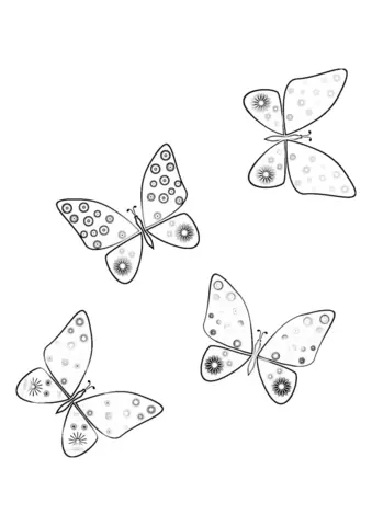 motyle kolorowanka