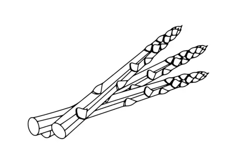 szparagi kolorowanka