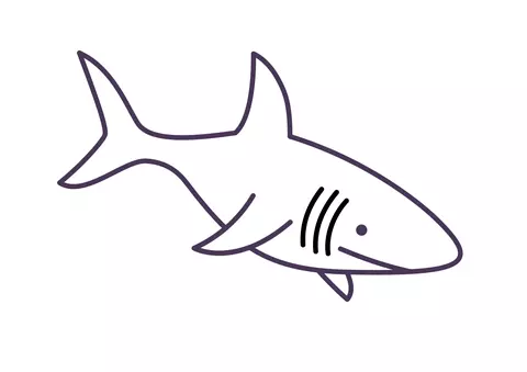 rekin kolorowanka
