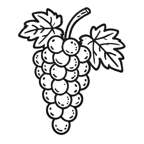 winogron kolorowanka